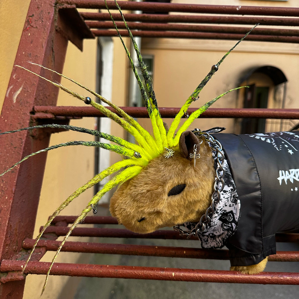 Capybara with dreadlocks STOCK